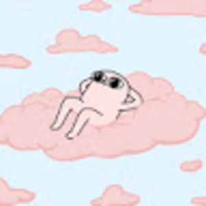 Meet your Posher, Jana